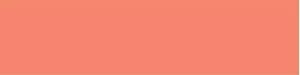 Medline Nursing Chart Labels - Coral 1" x 500" Blank Nursing Chart Label - 178Z1