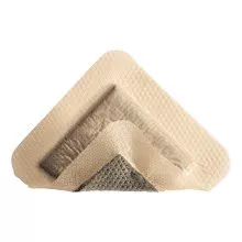 Molnlycke 295850 - Silicone Foam Dressing Mepilex Border 4 X 10 Inch Rectangle Silicone Adhesive with Border Sterile