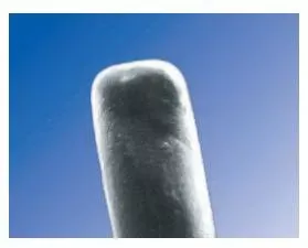 Oasis Eye Punctal Plug SOFT PLUG Collagen Collagen Temporary Occlusion Duration 2 mm Length 0.3 mm Diameter - Box of 60 - 6503-BX